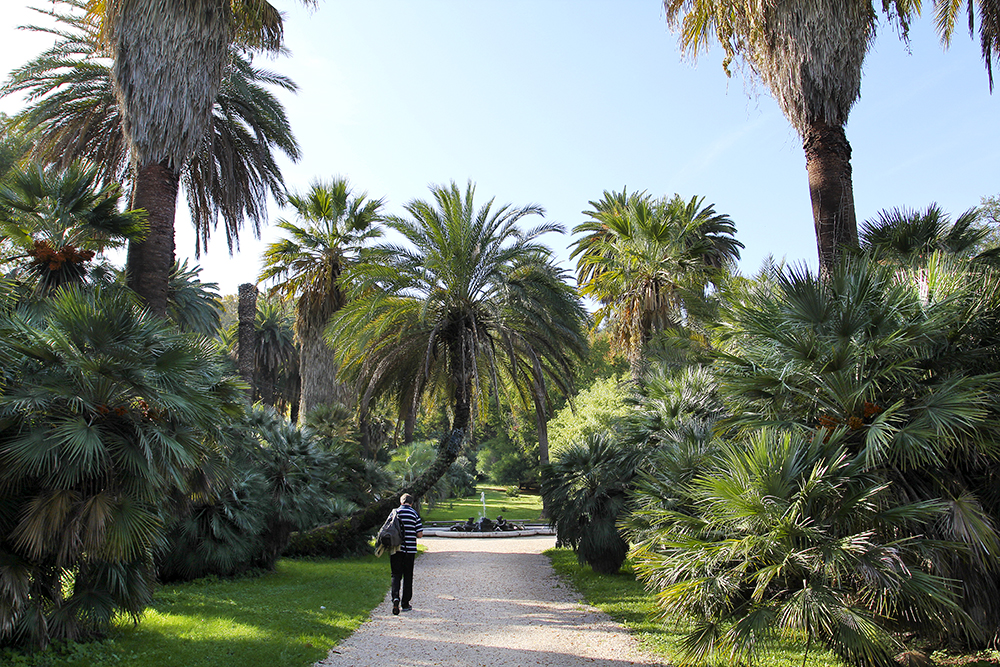 Der Botanische Garten von Rom - Ein Traum für Gartenliebhaber, Fotofreunde und Papageienliebhaber: Die hübschen Alexandersittiche sind hier das ganze Jahr über zu bewundern.