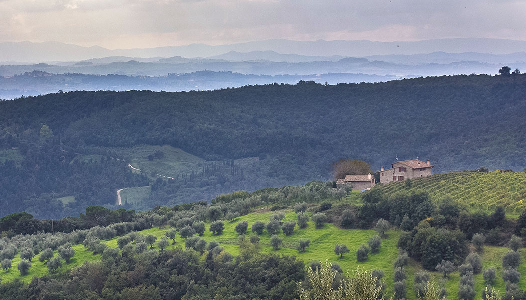Der Traum von Italien: Eine kleine Fattoria bei Artimino inmitten von Wein und Olivenplantagen. Trotz der langen Tradi­tion ist der Rotwein Carmignano nur in Italien besser bekannt.