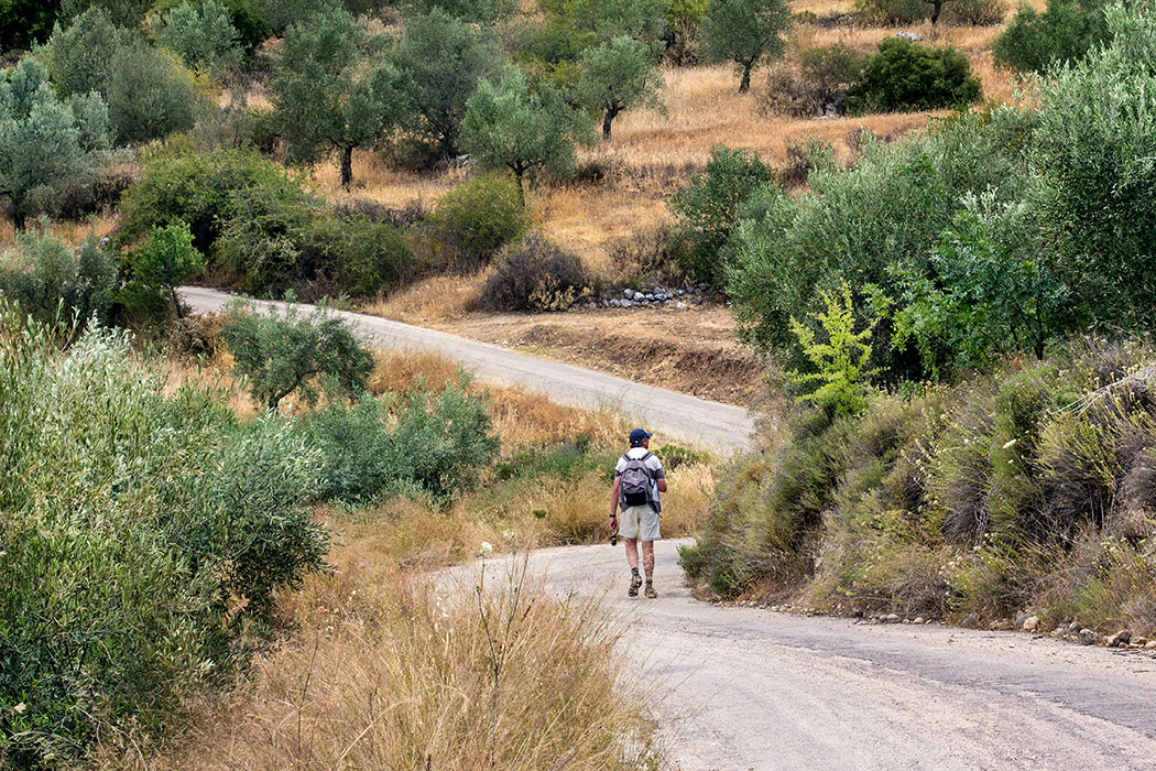 Mycenae hiking tholos tombs argolis peloponnes greece Eine schmale Nebenstraße führt entlang der Westseite des Panagitsa Hügels. Fünf bronzezeitliche Kuppelgräber liegen inmitten der Olivenhaine. 