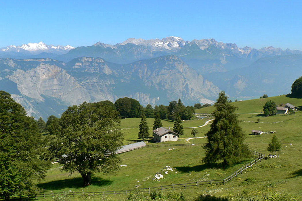 Garda Trentino: Drena im Cavedinetal - Malga Campo di Drena italien Von den Bergweiden der Alm "Malga Campo", oberhalb von Drena, öffnet sich ein gewaltiger Blick auf die Südseite der Brenta.