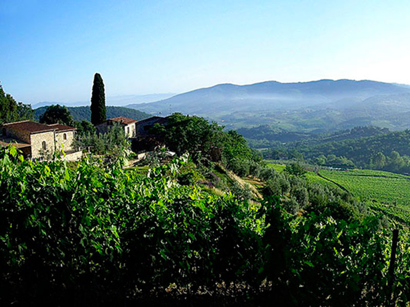 Fattoria Le Fonti in Panzano: Toskanische Individualisten mit Erfolg: 