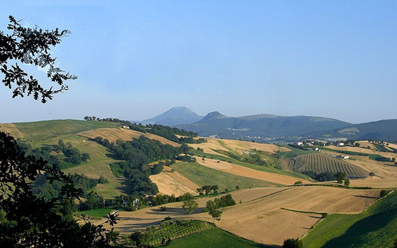 Panoramablick auf die Landschaft der Marken.