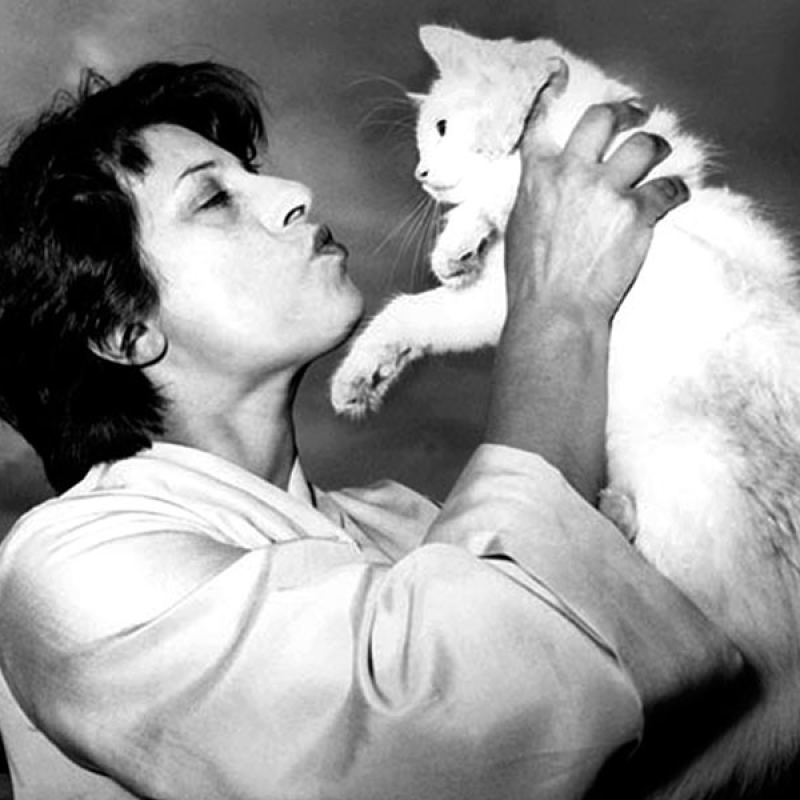 Eine berühmte Katzenfreundin war die Schauspielerin Anna Magnani. Während sie am Teatro Argentina spielte, verbrachte sie die Spielpausen mit dem Füttern ihrer geliebten Katzen.