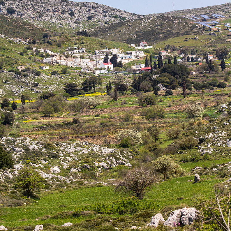 Das Dorf Sitanos liegt oberhalb einer kleinen Ebene, die mit gepflegten Felder und Gärten gewirtschaftet wird.