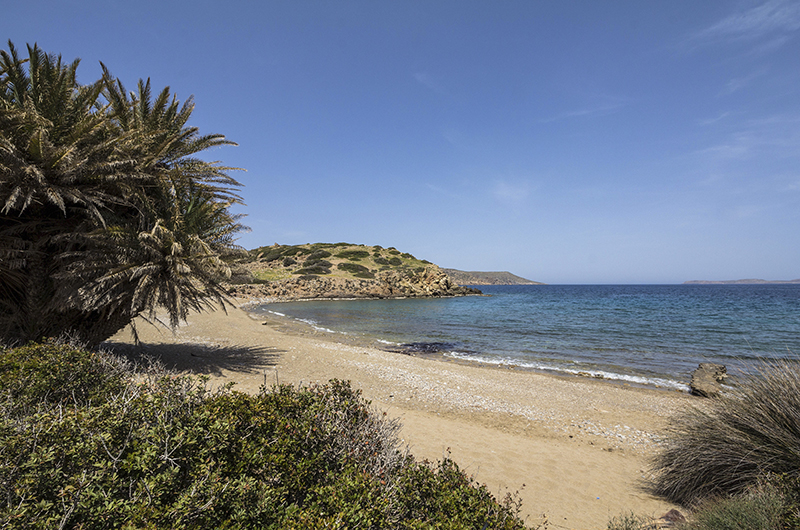 Der perfekte Urlaubstag -an einem Palmenstrand in Kreta.