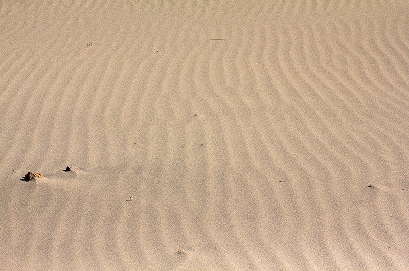 Der Wind modelliert kleine Wellen in den Sand.