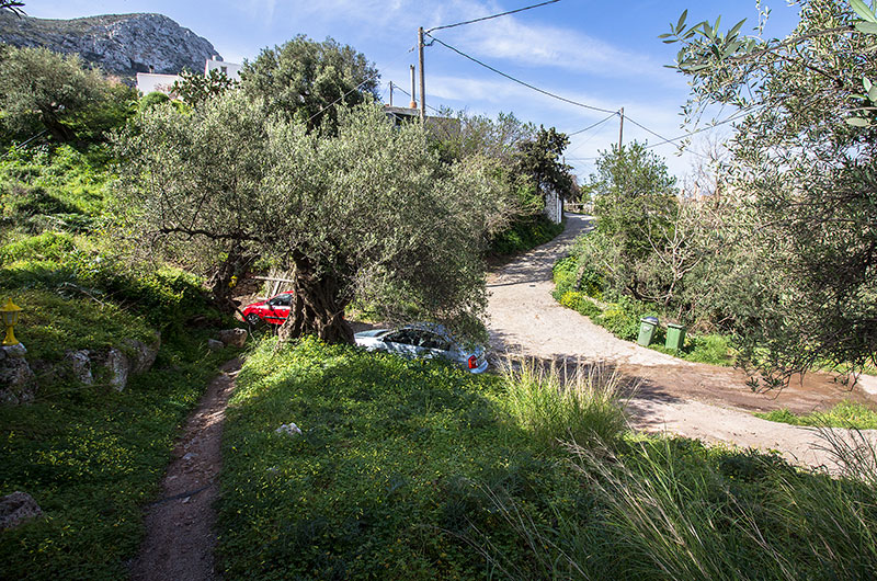 Die Autos werden neben der Dorfstraße abgestellt, direkt unter einer alten Olive. Gut sichtbar, der Wasserablauf (des Winterregens) über die Straße.