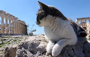 Athen: Neue Eintrittspreise für Akropolis ab 1. April 2016