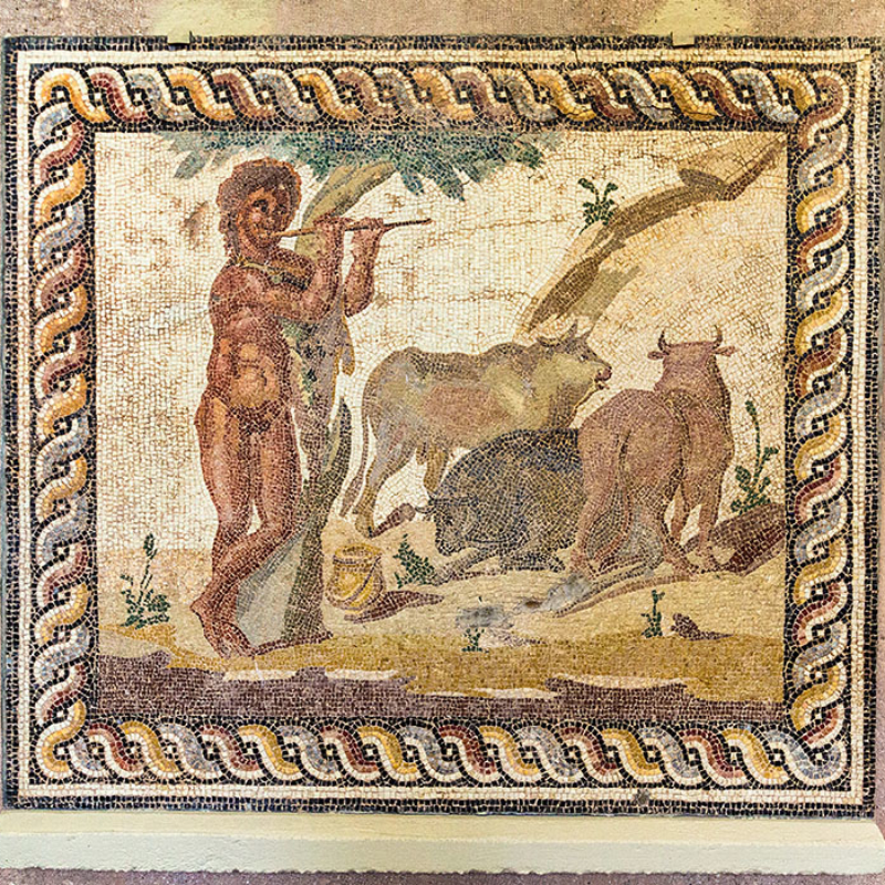 Das römische Mosaik zeigt eine Hirtenszene mit Rindern auf der Weide. Fundort: Römische Villa in Kokkinovrysi, einem Ortsteil von Korinth. Datierung: 150 bis 200 n. Chr.
