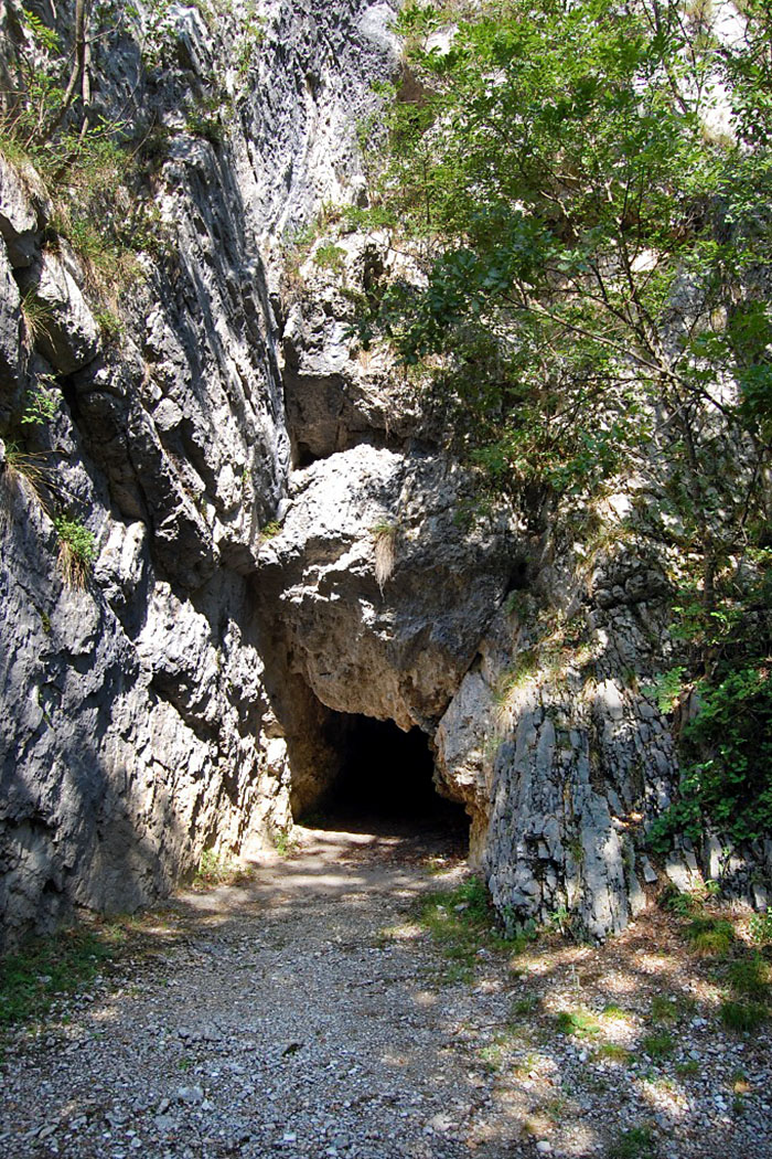 Während der Kupfersteinzeit (Äneolithikum) und der Frühbronzeit, im Zeitraum vom 3. bis zum 2. Jahrtausend v. Chr., wurde die Cosina-Höhle als Bestattungsplatz genutzt.