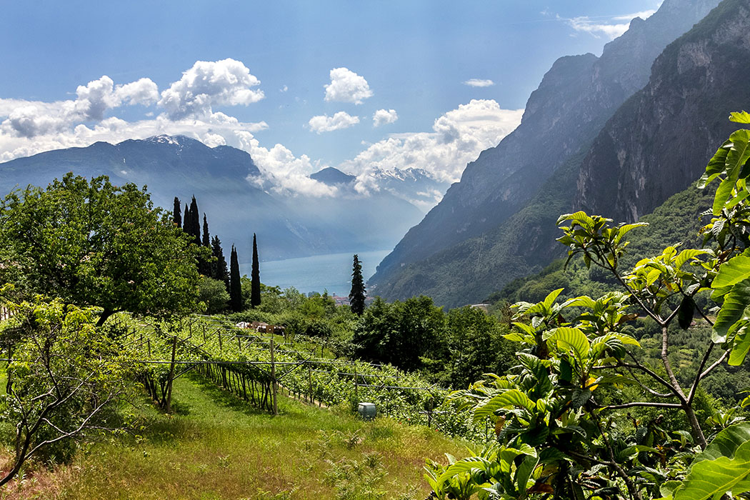 Eine Landschaft, schön wie ein Gemälde: Der Blick von Tenno auf den Gardasee und Riva del Garda.