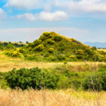 reise-zikaden.de, italy, italien, italia, tarquinia, Doganaccia, Nekropole, Tumuli del Re